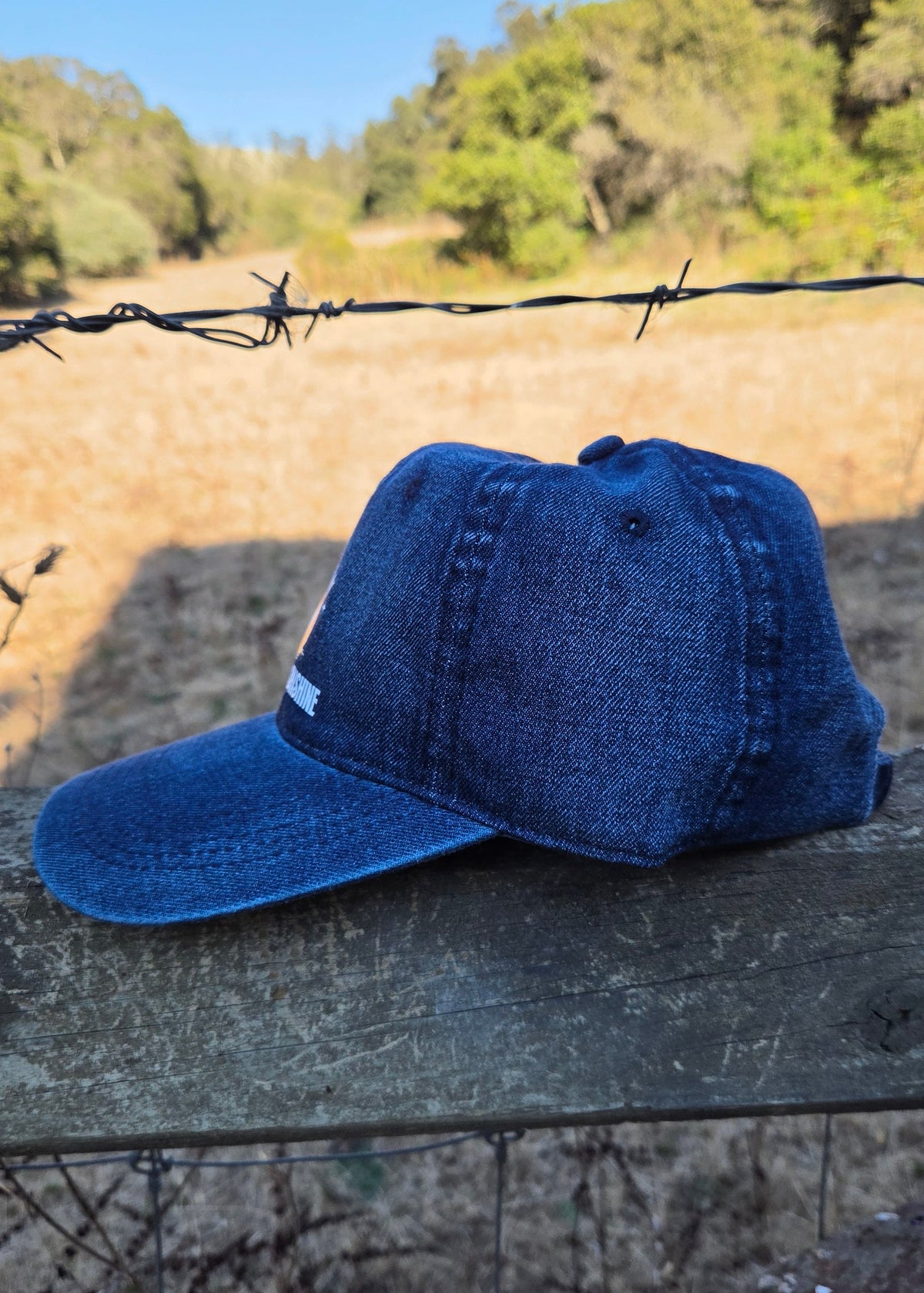 Raised on Country Sunshine- Denim Hat