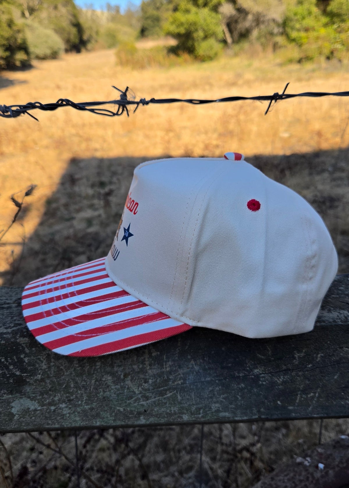 American Outlaw Hat